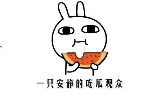 网上流行吃瓜是什么意思,吃瓜背后的文化现象与社交心理